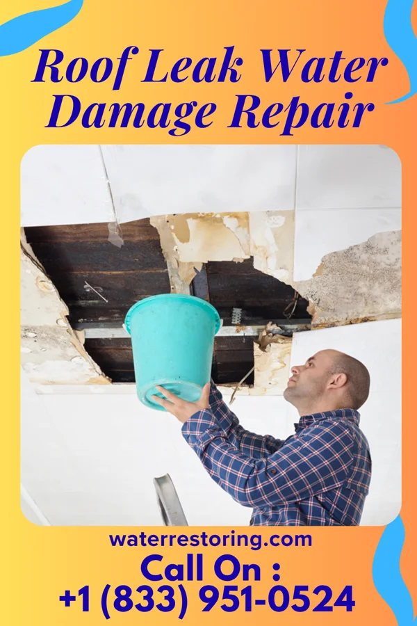 Roof Leak Water Damage Repair in East Tulare Villa, CA